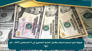 هبوط كبير لسعر الدولار مقابل الجنيه المصري في 4 أغسطس 2025.. كم بلغ؟
